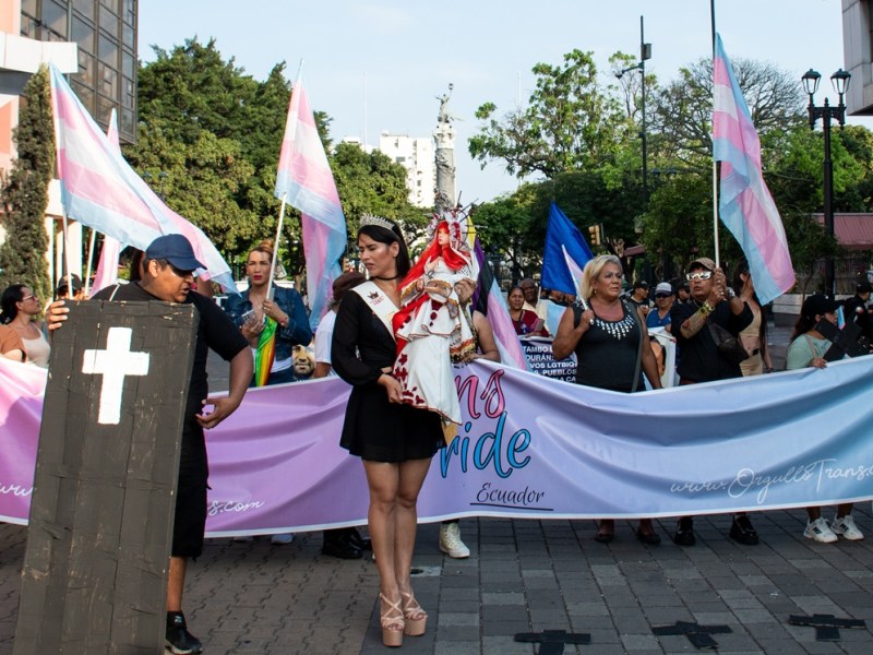 Memorias de la #ProcesiónTrans, Despenalización Fest y Feria del Dólar